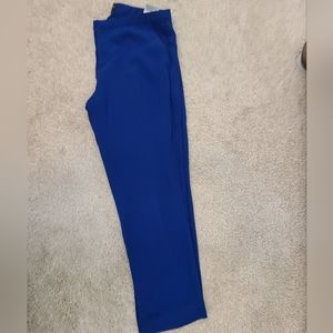 Royal Blue Banana Republic Dress Pants